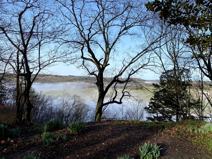 Hobbit Houses (Fayetteville, Arkansas, United States of America)