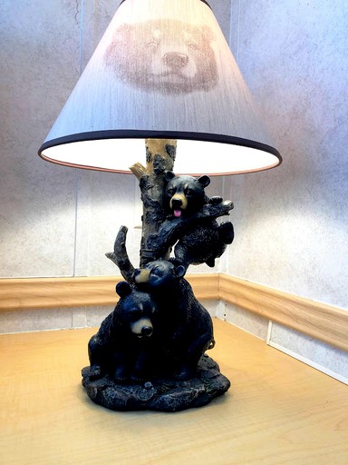 Cabins (Whittier, North Carolina, United States of America)