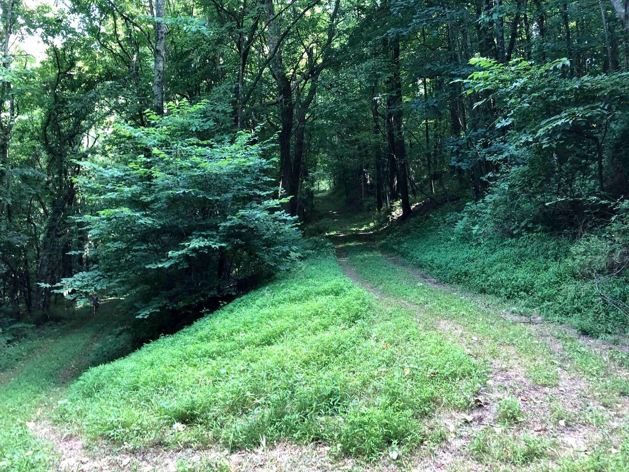 Beautiful Nashville Glamping Site for a Rural Tennessee Vacation