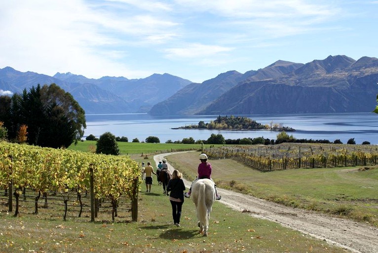 Cabins (Wanaka, South Island, New Zealand)