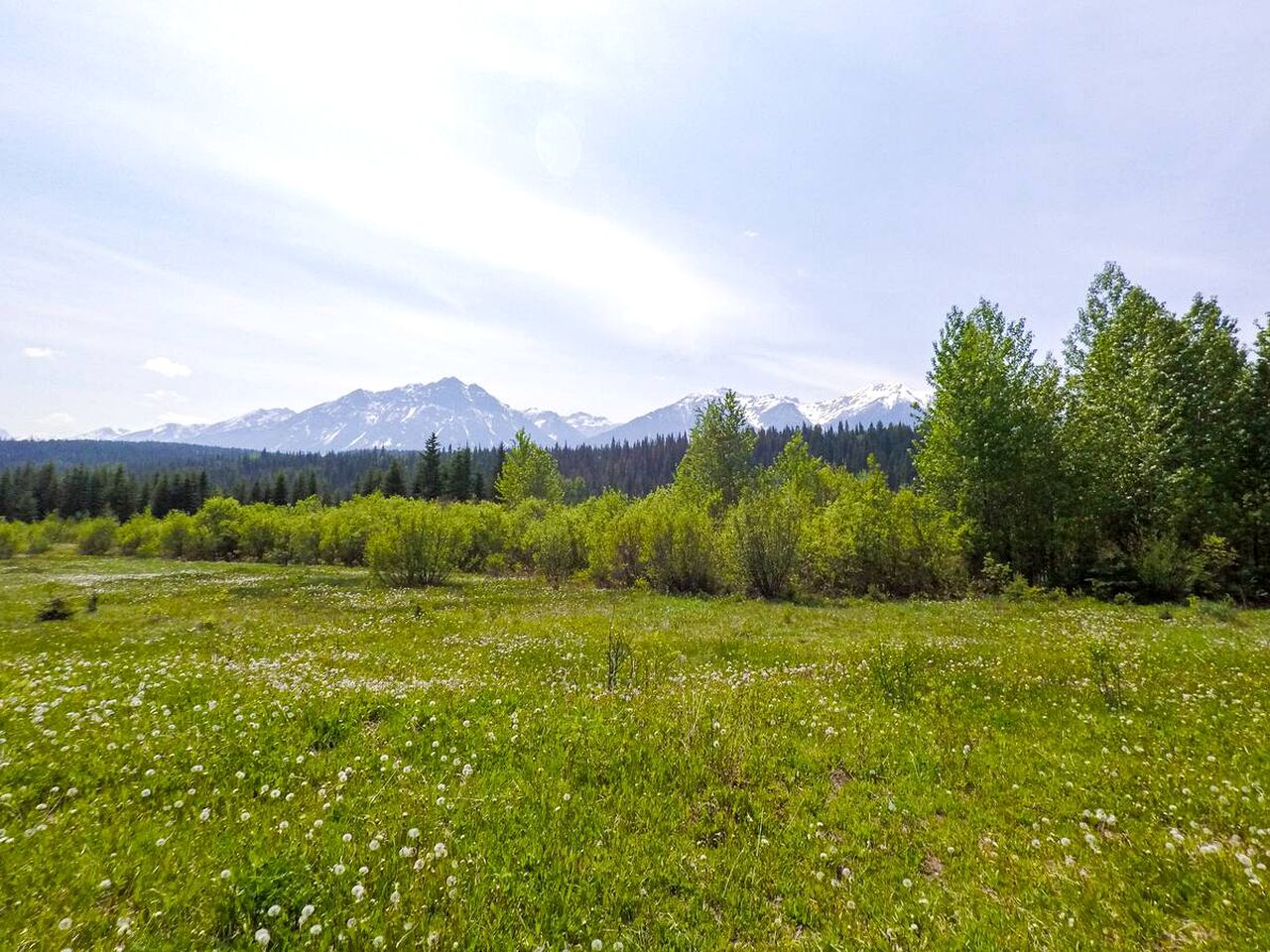 Lovely Columbia Valley Accommodation at a Dogsled Retreat