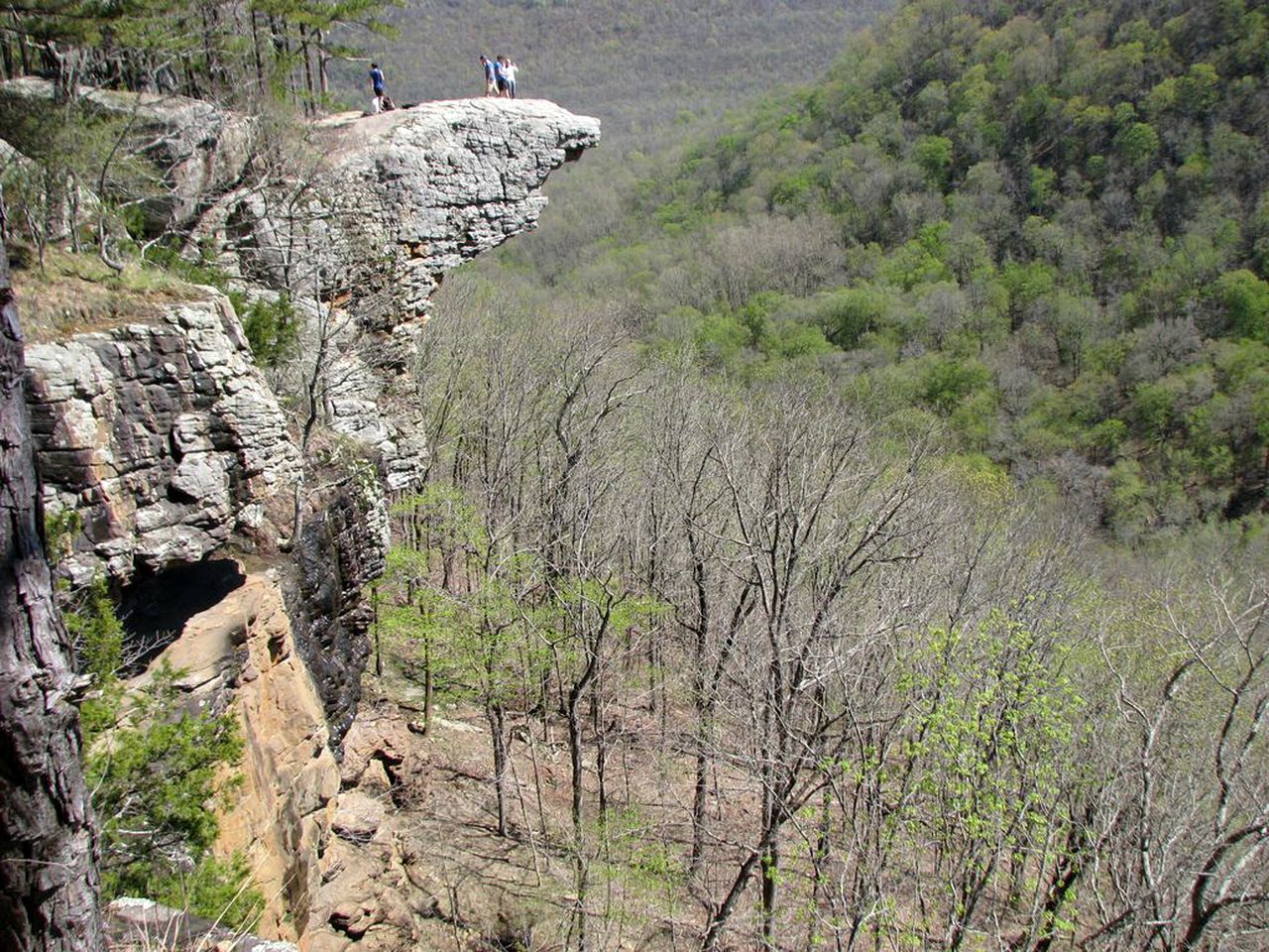 Lakeside Cabin Rental with a Hot Tub Perfect for a Vacation in Arkansas