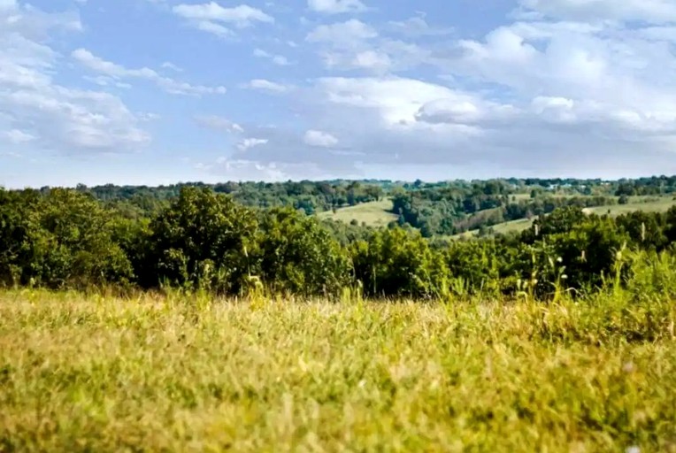 Tiny Houses (Owenton, Kentucky, United States of America)