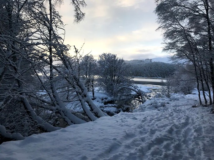 Cabins (Invergarry, Scotland, United Kingdom)