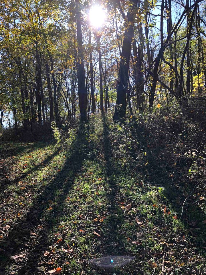 Beautiful Nashville Glamping Site for a Rural Tennessee Vacation