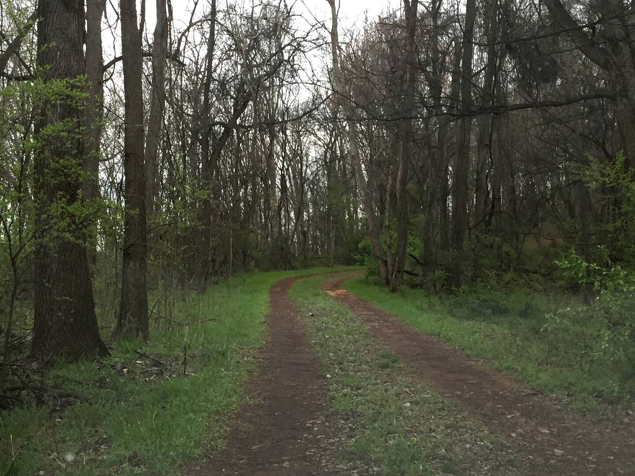 Peaceful Sweetwater Guesthouse for a Tennessee Family Vacation
