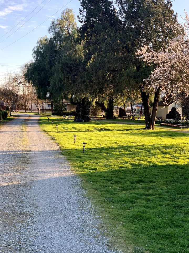 Idyllic Cottage Rental on a Working Farm Ideal for a Weekend Trip from San Francisco