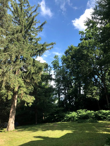 Tree Houses (Holly, Michigan, United States of America)