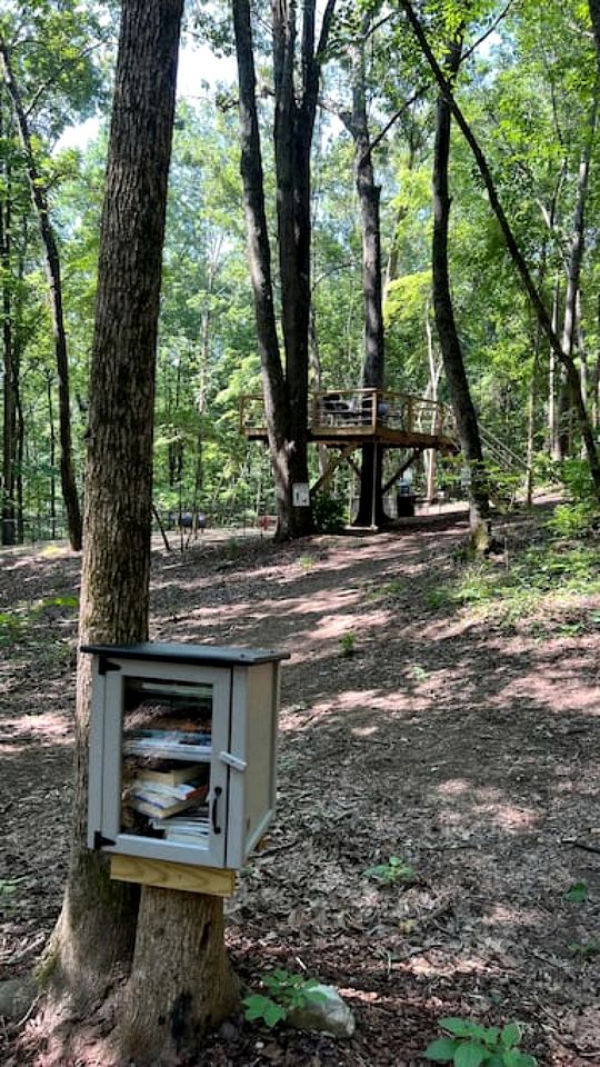 Picturesque Tiny Cabin Surrounded by Nature in Alabama