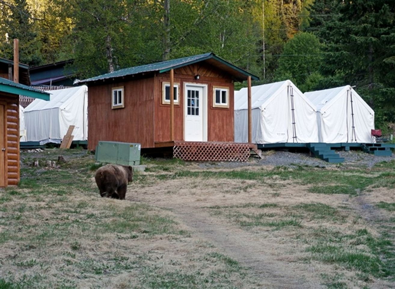 Small Group Cabin Ideal to Relax and Explore Nature in Alaska