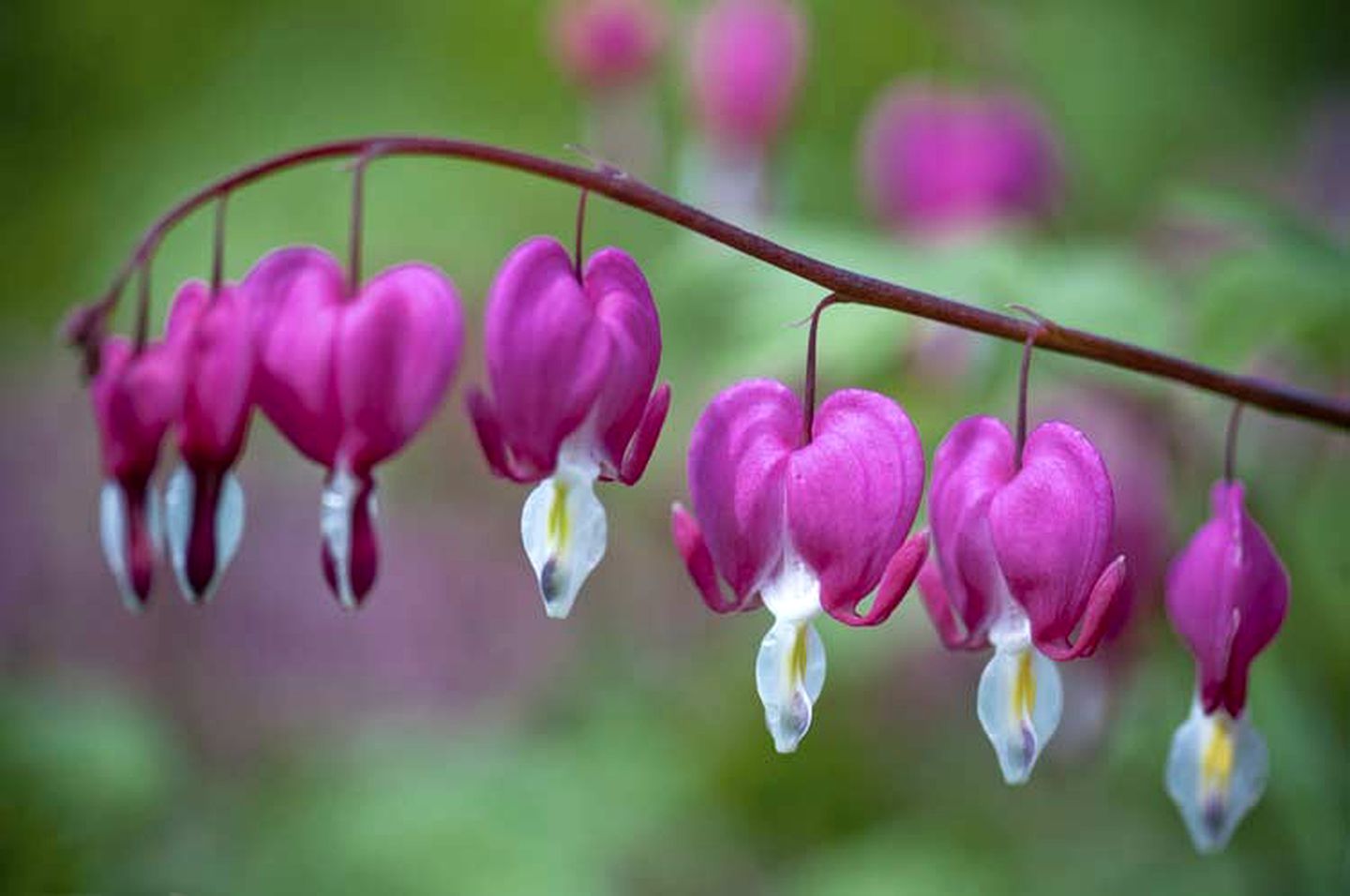 Wonderful Getaway Rental in Refurbished Barn by a Shimmering Lake in Canandaigua, New York