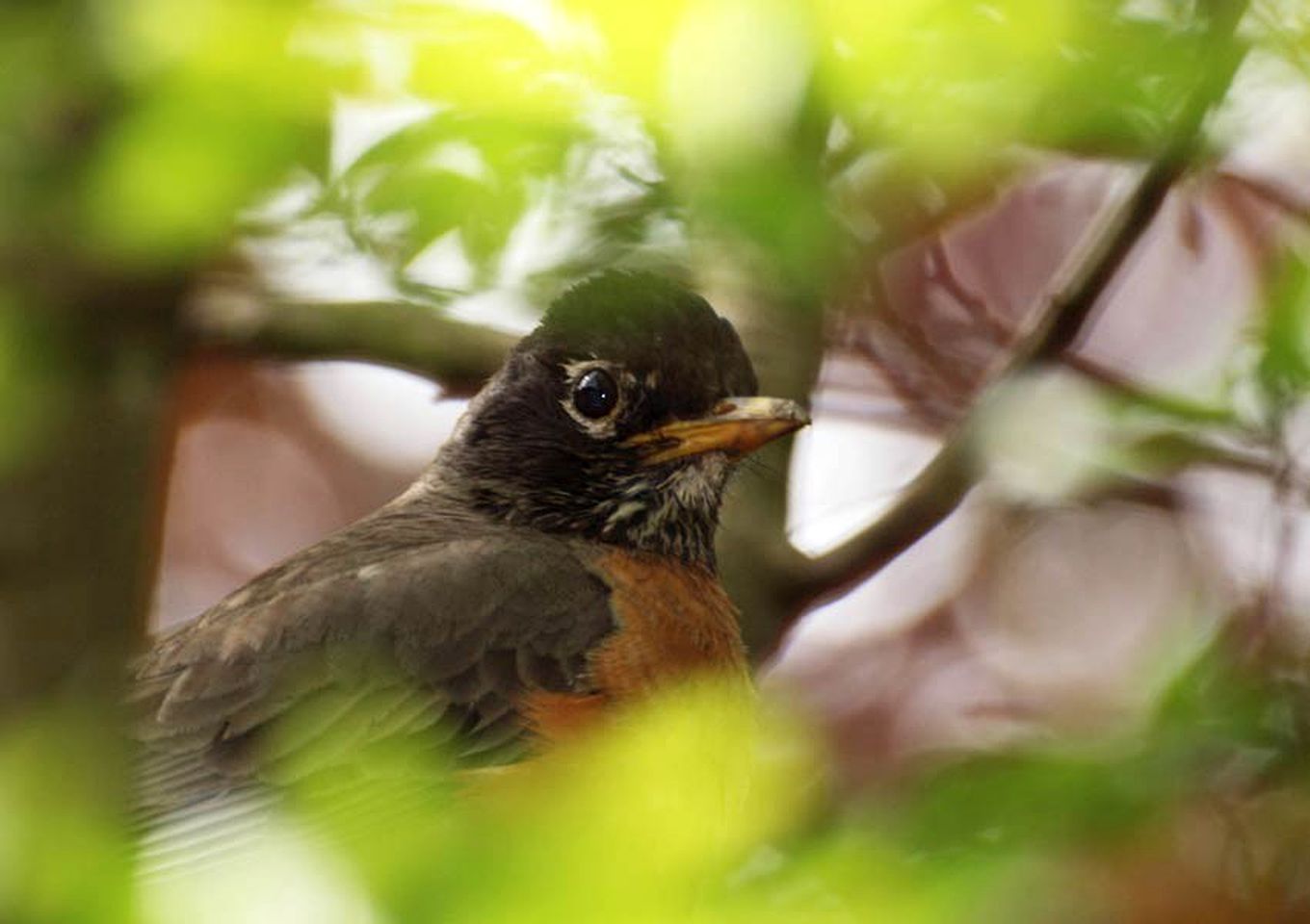 Wonderful Getaway Rental in Refurbished Barn by a Shimmering Lake in Canandaigua, New York