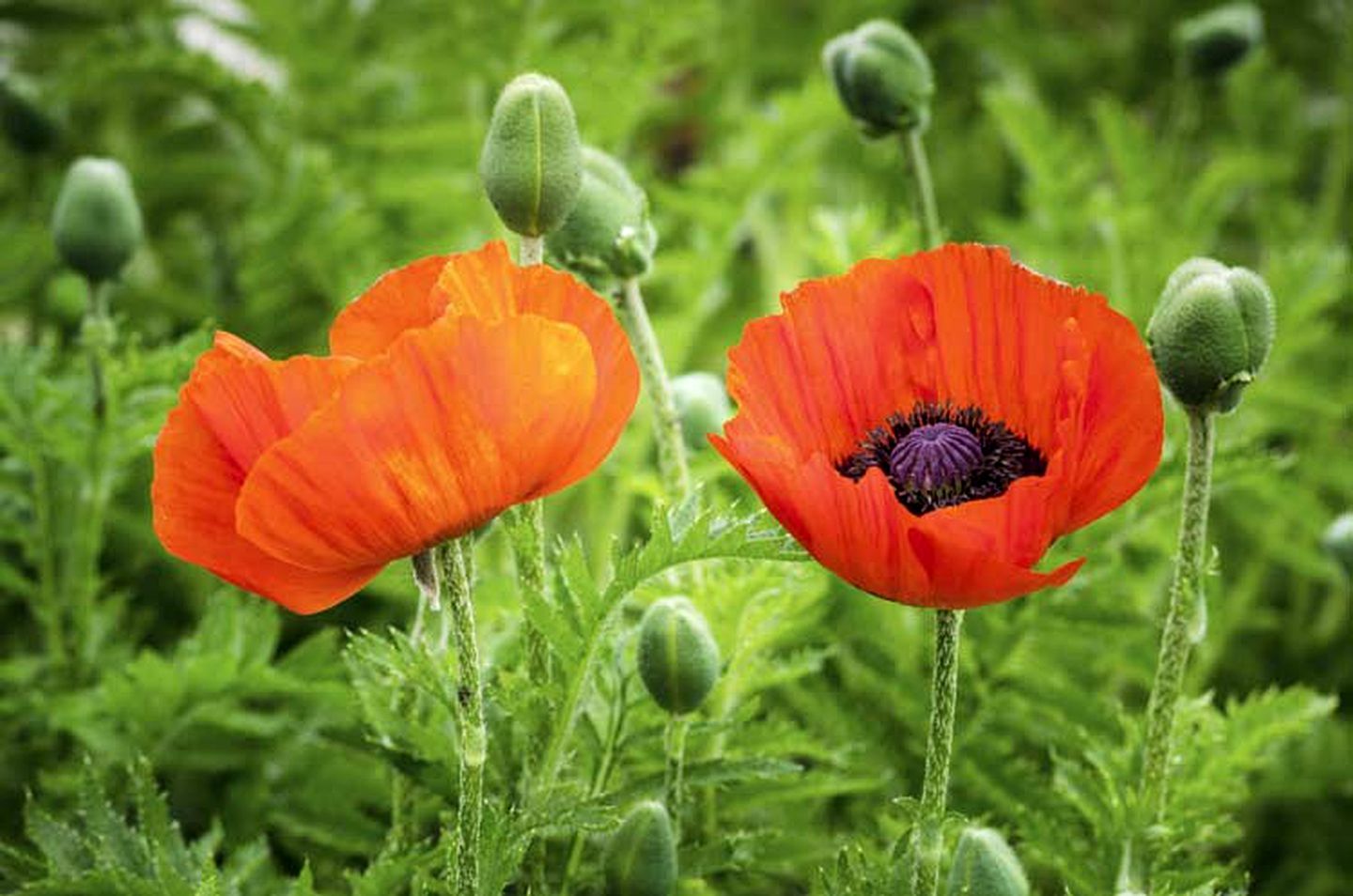 Wonderful Getaway Rental in Refurbished Barn by a Shimmering Lake in Canandaigua, New York