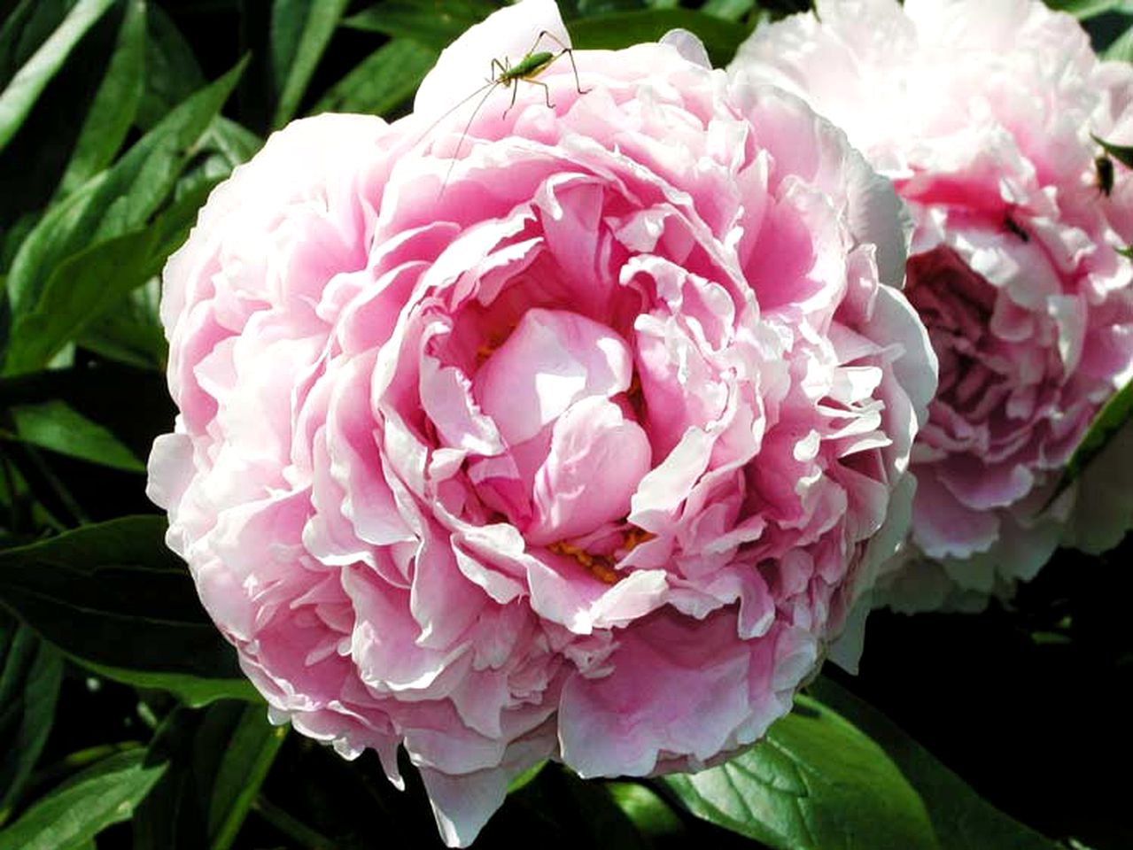 Wonderful Getaway Rental in Refurbished Barn by a Shimmering Lake in Canandaigua, New York