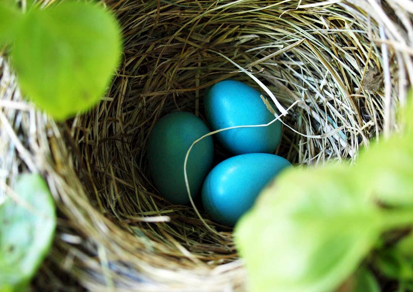 Wonderful Getaway Rental in Refurbished Barn by a Shimmering Lake in Canandaigua, New York