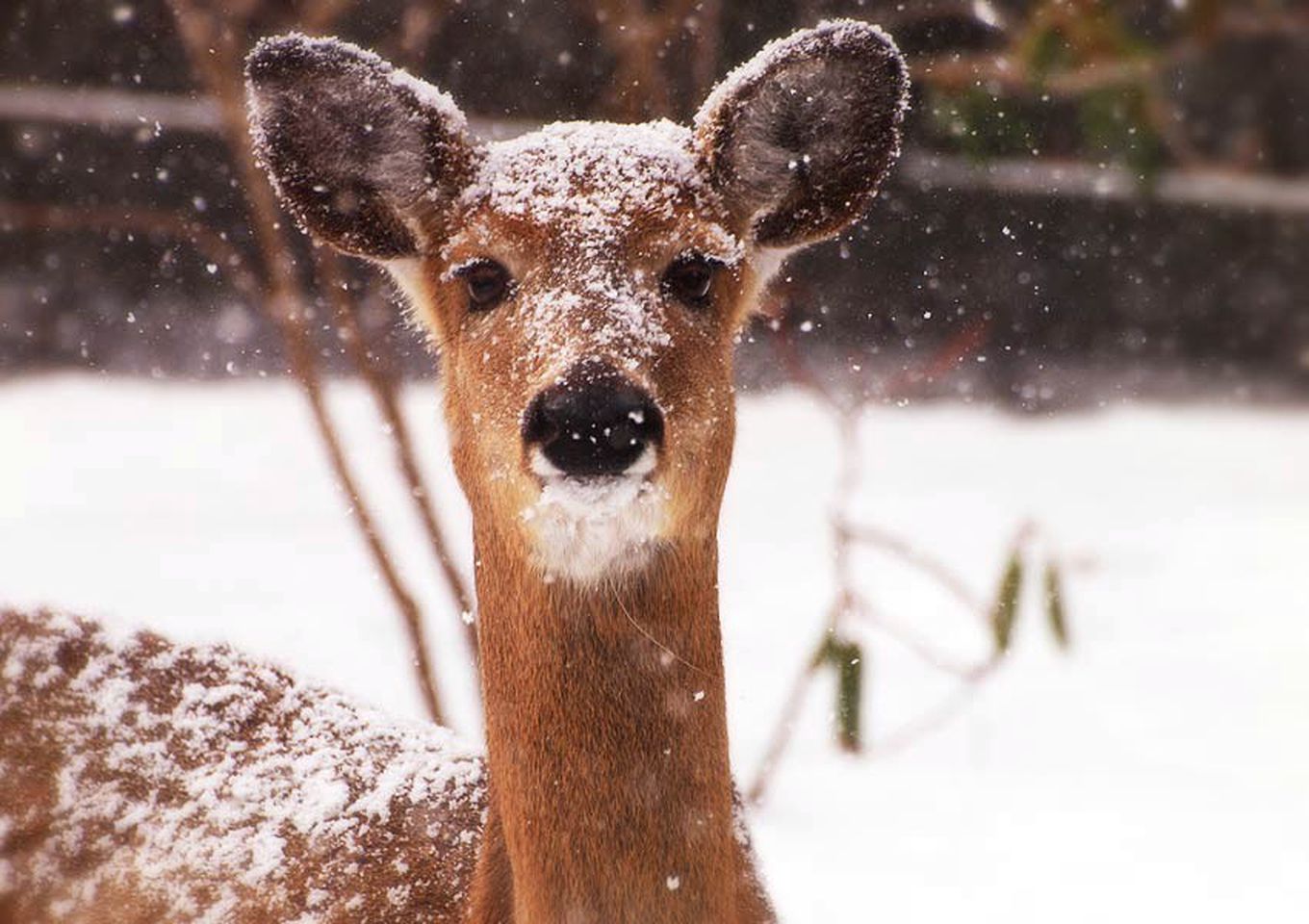Wonderful Getaway Rental in Refurbished Barn by a Shimmering Lake in Canandaigua, New York