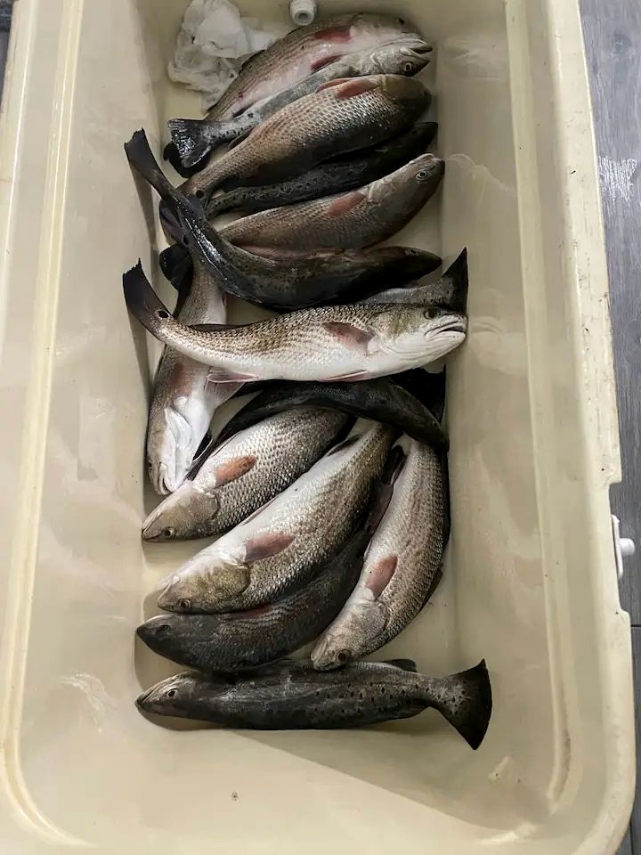 The Unforgettable La Sirata and Casita Together