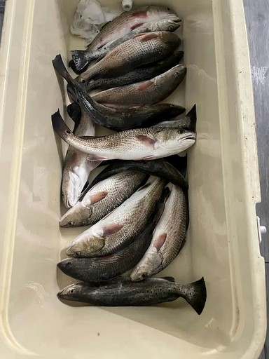 The Unforgettable La Sirata and Casita Together | Cottages (Midway, Georgia, United States of America)