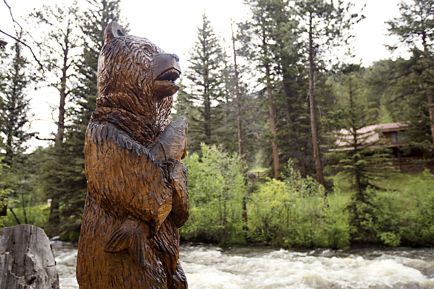 Estes Park Cabin Rental for Colorado Getaways