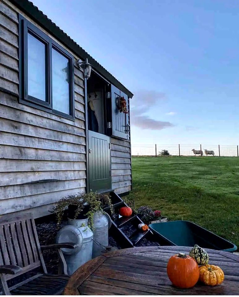 Luxury Shepherd’s Hut with Hot Tub Ideal for Glamping in Carmarthenshire, Wales