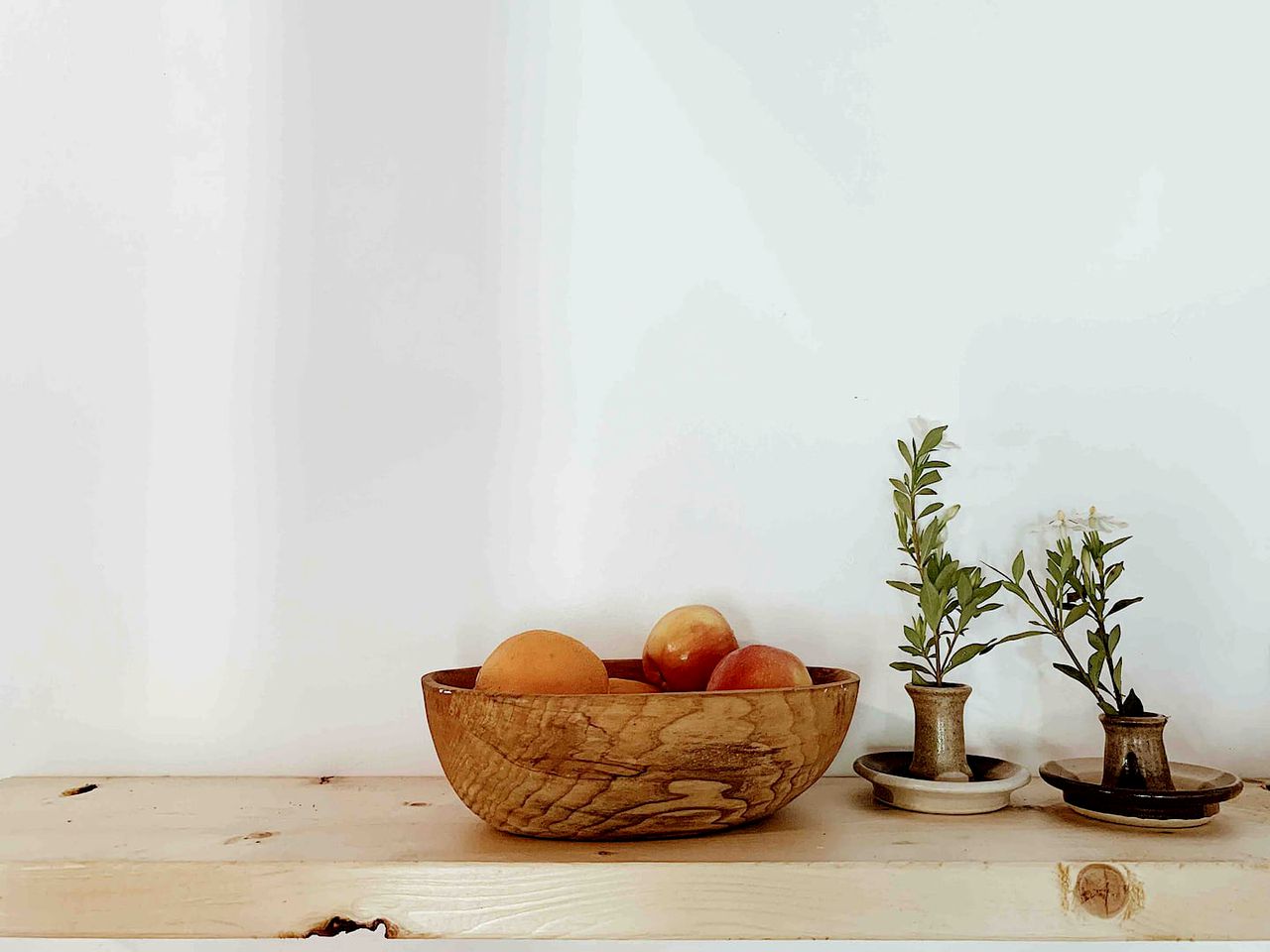 Modern Cabin Rental for Exciting Family Vacations in North Carolina