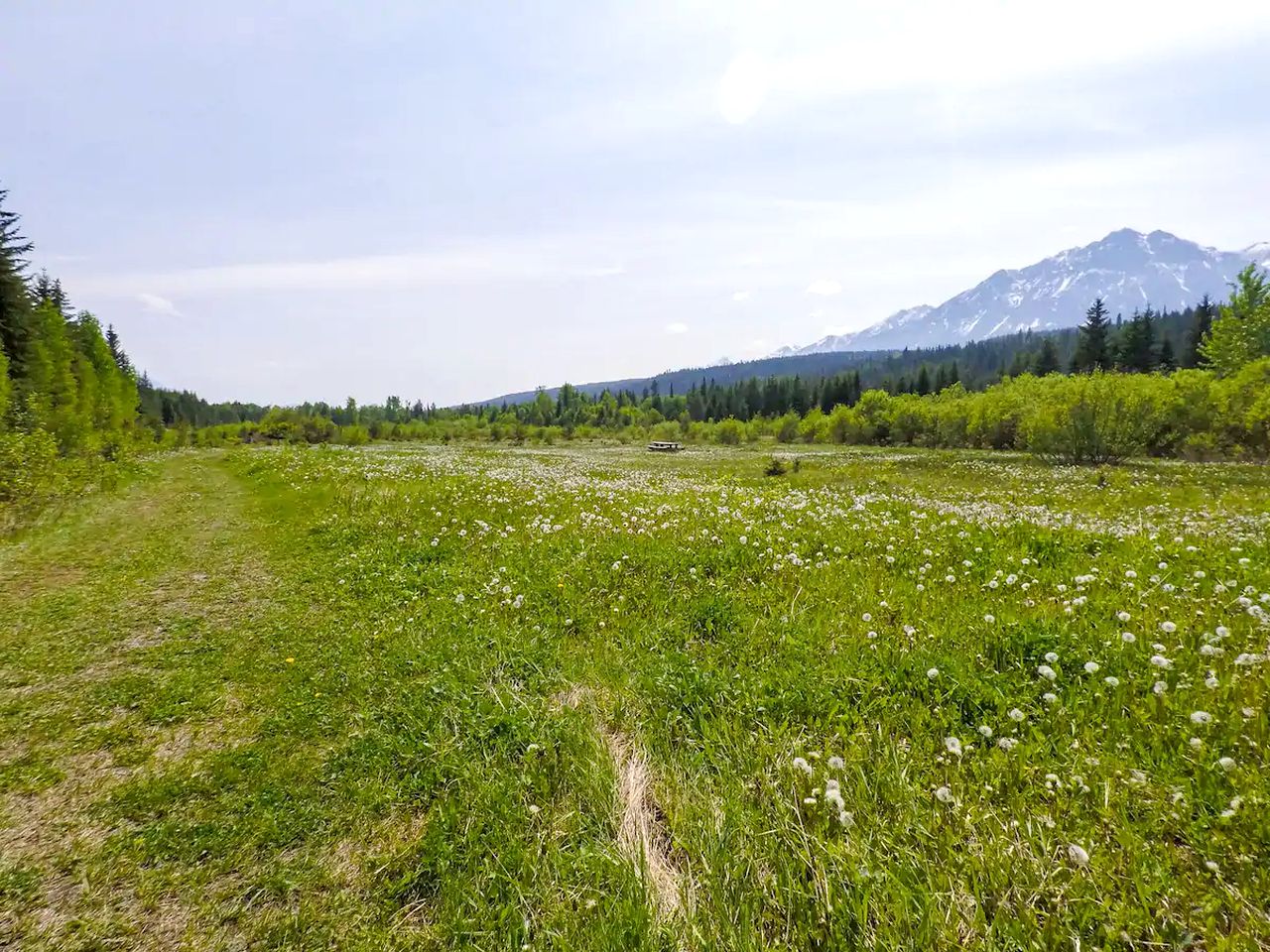Lovely Columbia Valley Accommodation at a Dogsled Retreat
