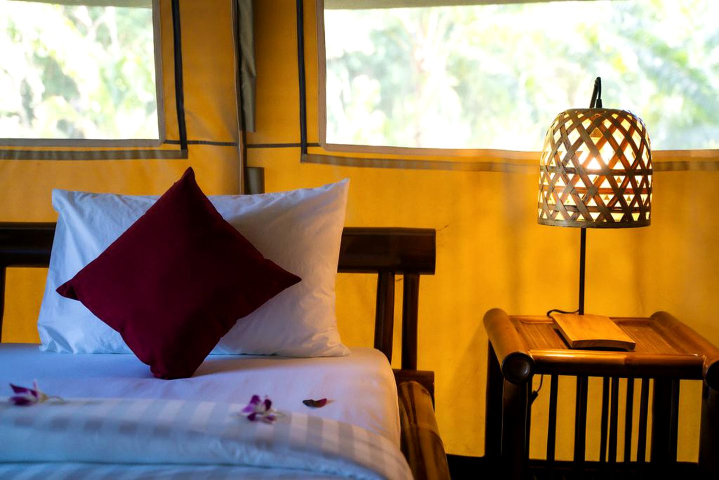 Luxury Retreat for a Glamping Experience near Khao Sok National Park in Thailand