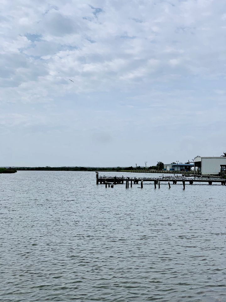 Idyllic Cabin with a Fire Pit Perfect for a Weekend Getaway from Houston