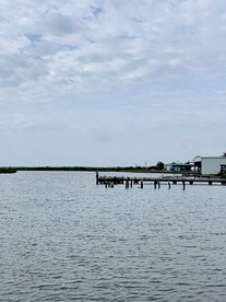 undefined photo 4
