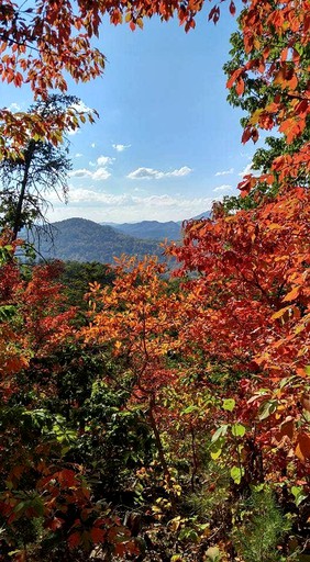 Cabins (Newport, Tennessee, United States)