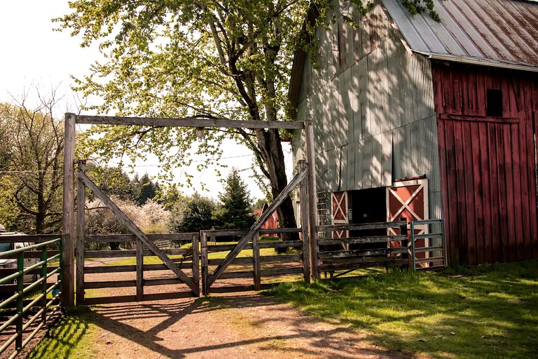 Tipis (Scotts Mills, Oregon, United States of America)