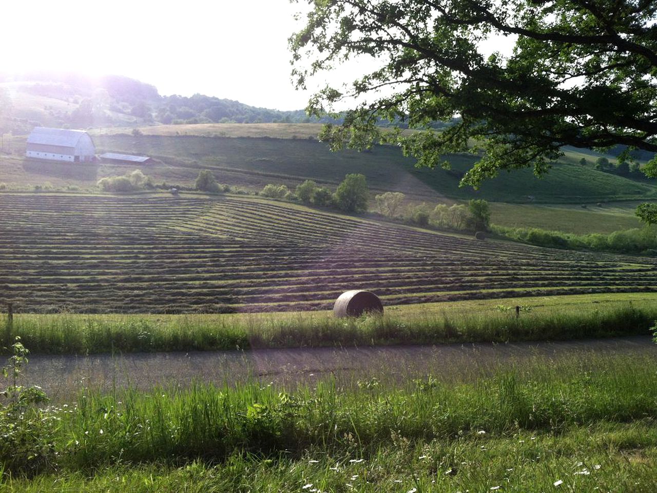 1800s Farmhouse Cottage Rental on a 230 Acre Farm in Muskingum County, Ohio