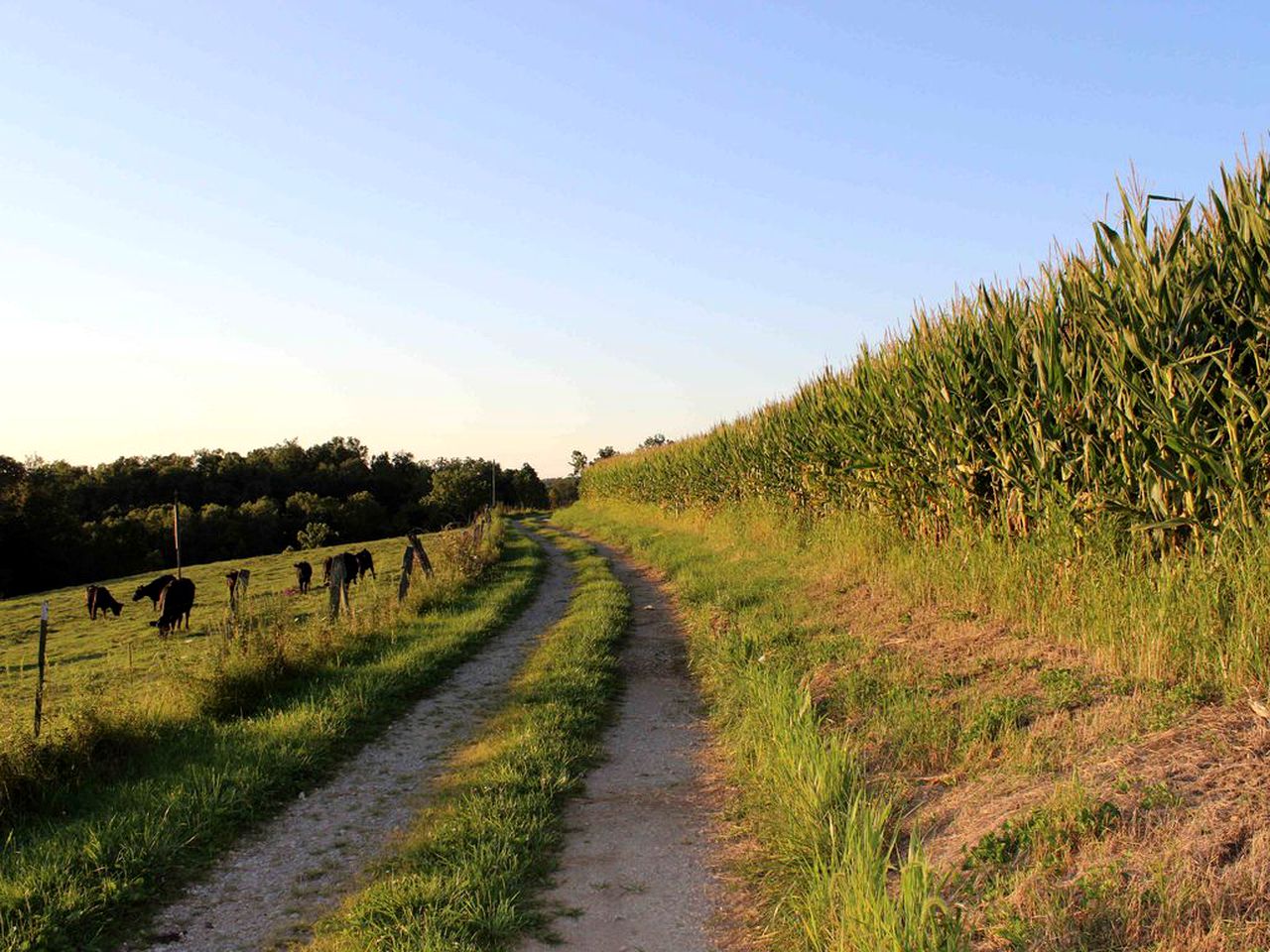 1800s Farmhouse Cottage Rental on a 230 Acre Farm in Muskingum County, Ohio