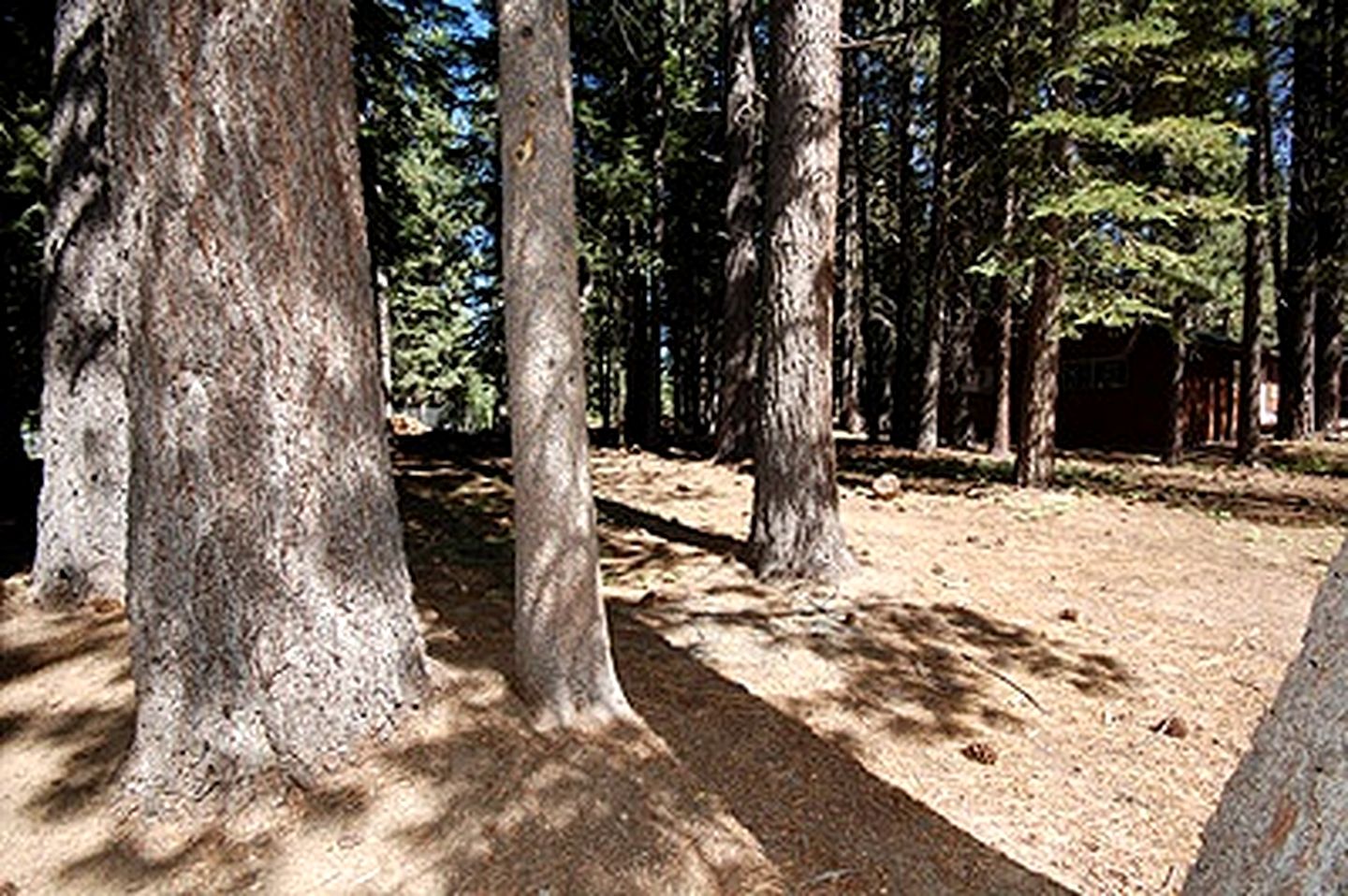 Cozy Dog-Friendly Family Cabin with Pool Table and Deck in South Lake Tahoe, California