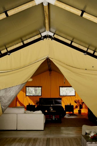 Safari Tents (Rotorua, North Island, New Zealand)