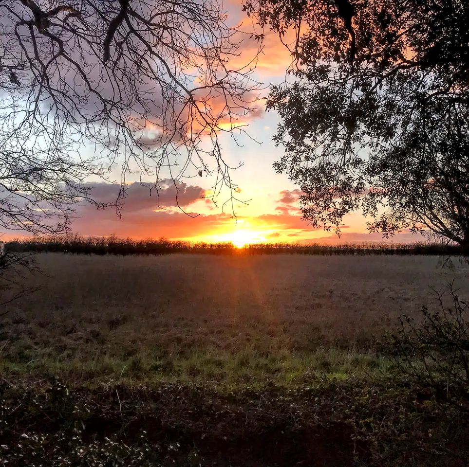 Luxury Glamping For Couples in Hut Rental in Lincolnshire, England