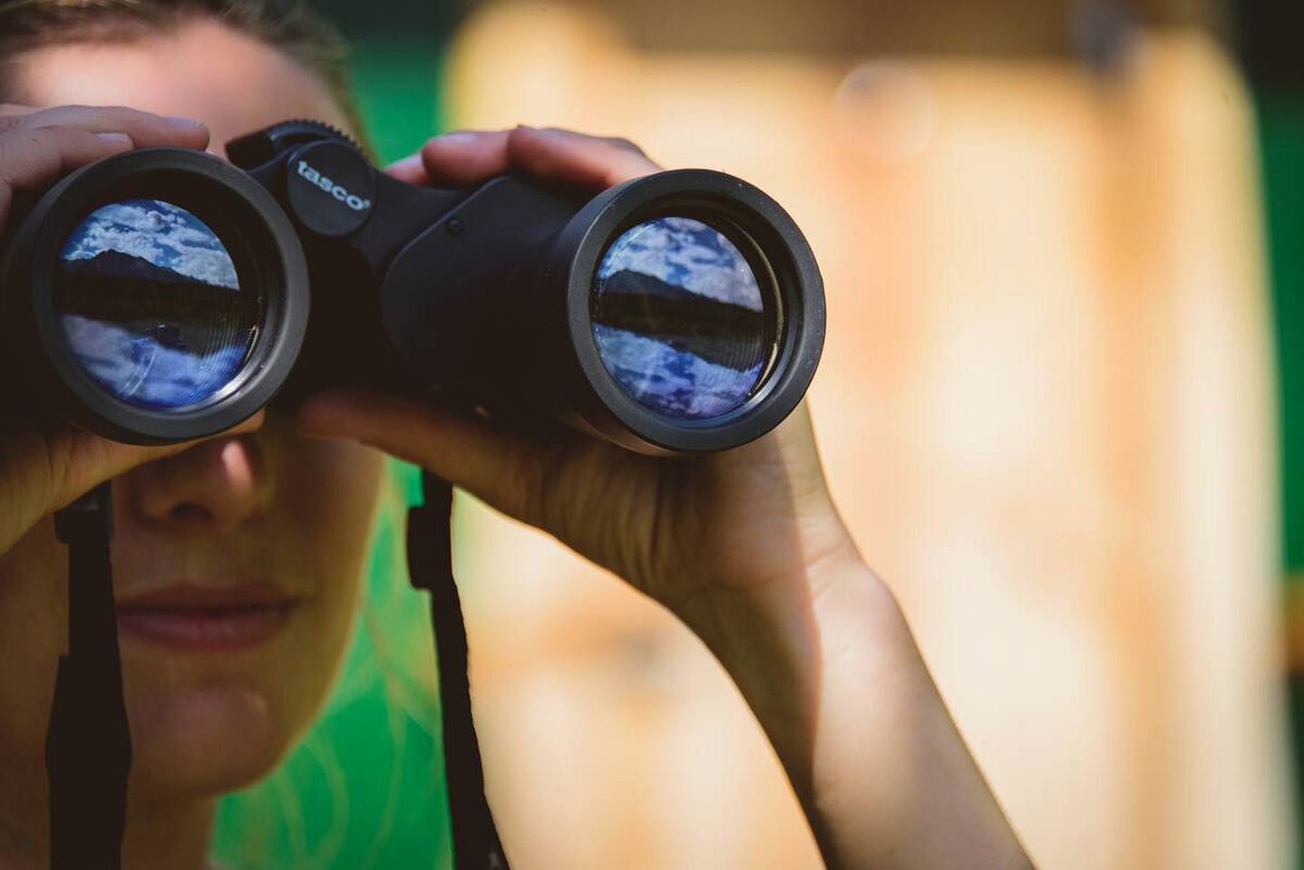Lovely Columbia Valley Accommodation at a Dogsled Retreat