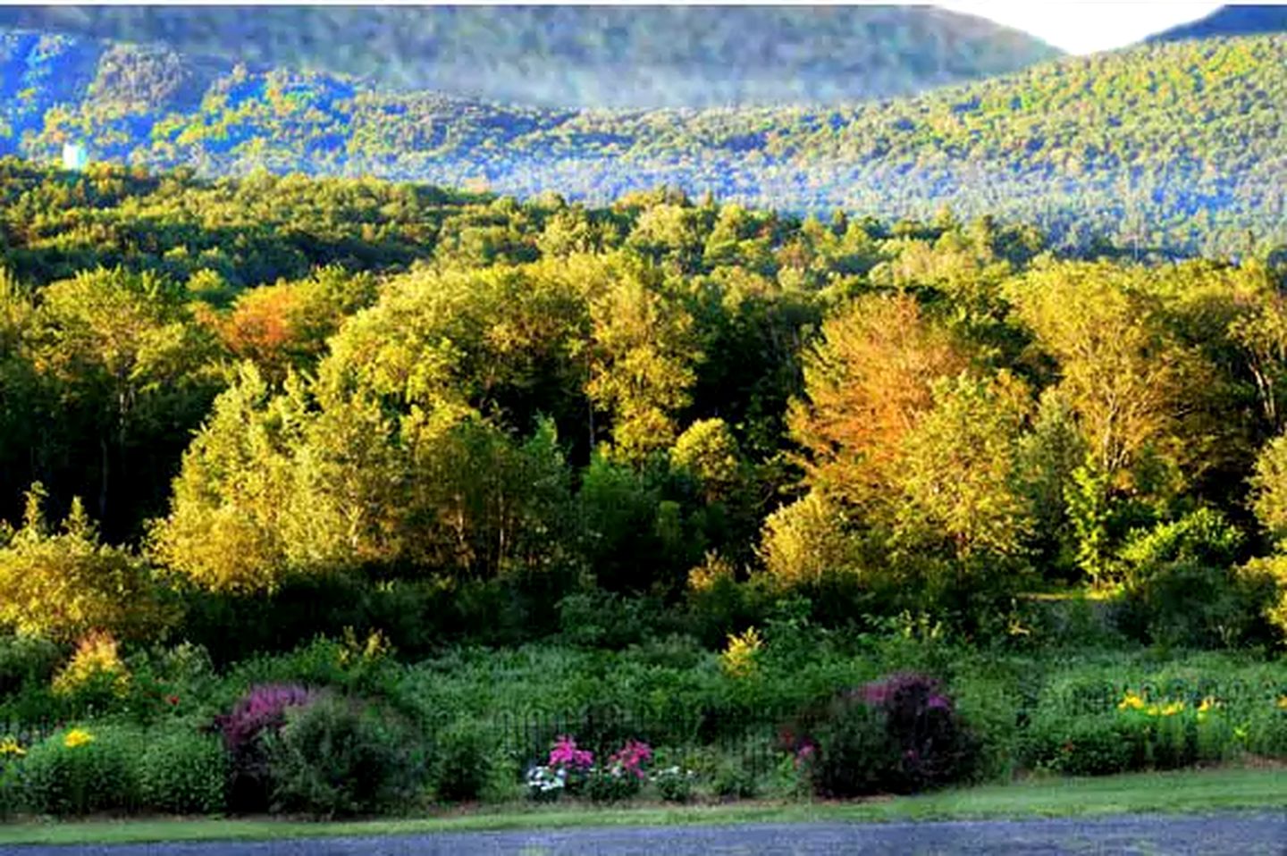 Impressive Cabin with a Pool and Hot Tub Ideal for Weekend Getaways in the Catskills