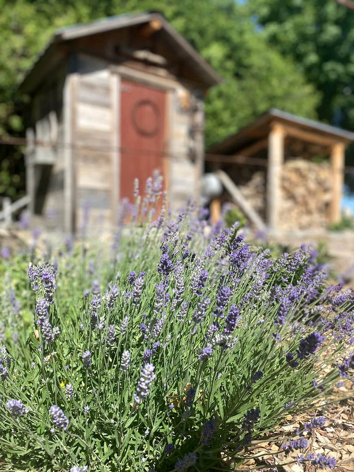 Great Quebec Cabin for a Romantic Getaway in Canada