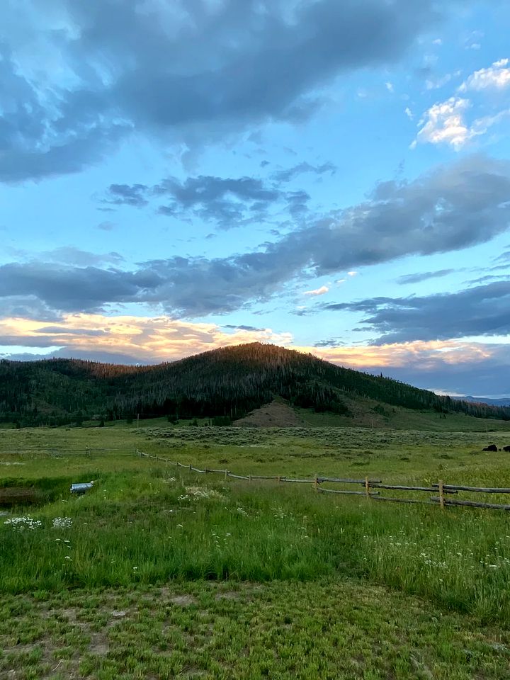 Room in a Pet-Friendly Cabin Rental Perfect for Glamping in Colorado