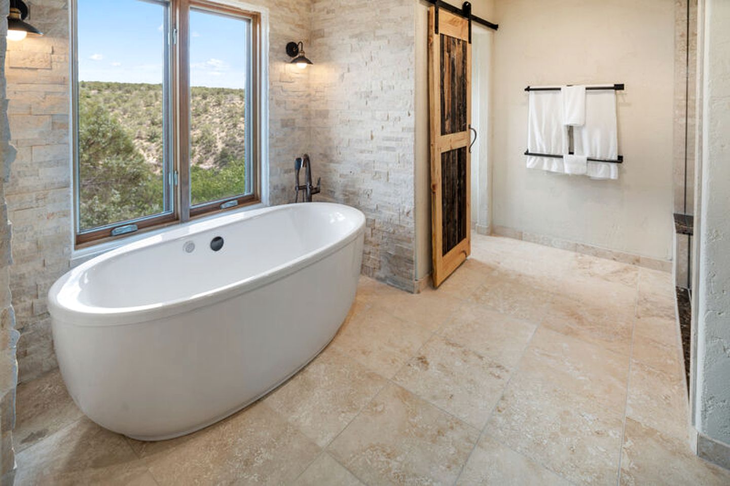 Luxury Vacation Rental with a Fireplace and Views near McPhee Reservoir in Colorado