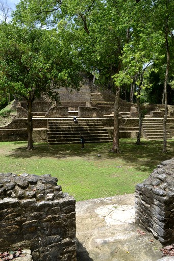 Tree Houses (San Ignacio, Cayo District, Belize)