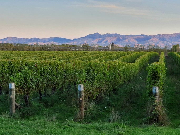 Pods (Renwick, South Island, New Zealand)