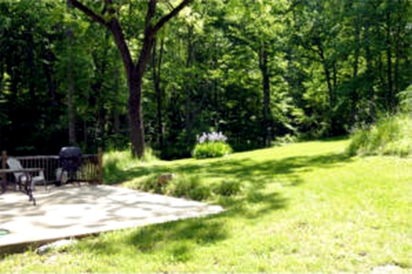 Traditional 1920's Cottage for a Secluded Getaway in the Shenandoah Valley, Virginia