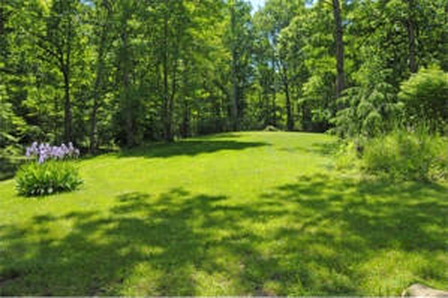 Traditional 1920's Cottage for a Secluded Getaway in the Shenandoah Valley, Virginia