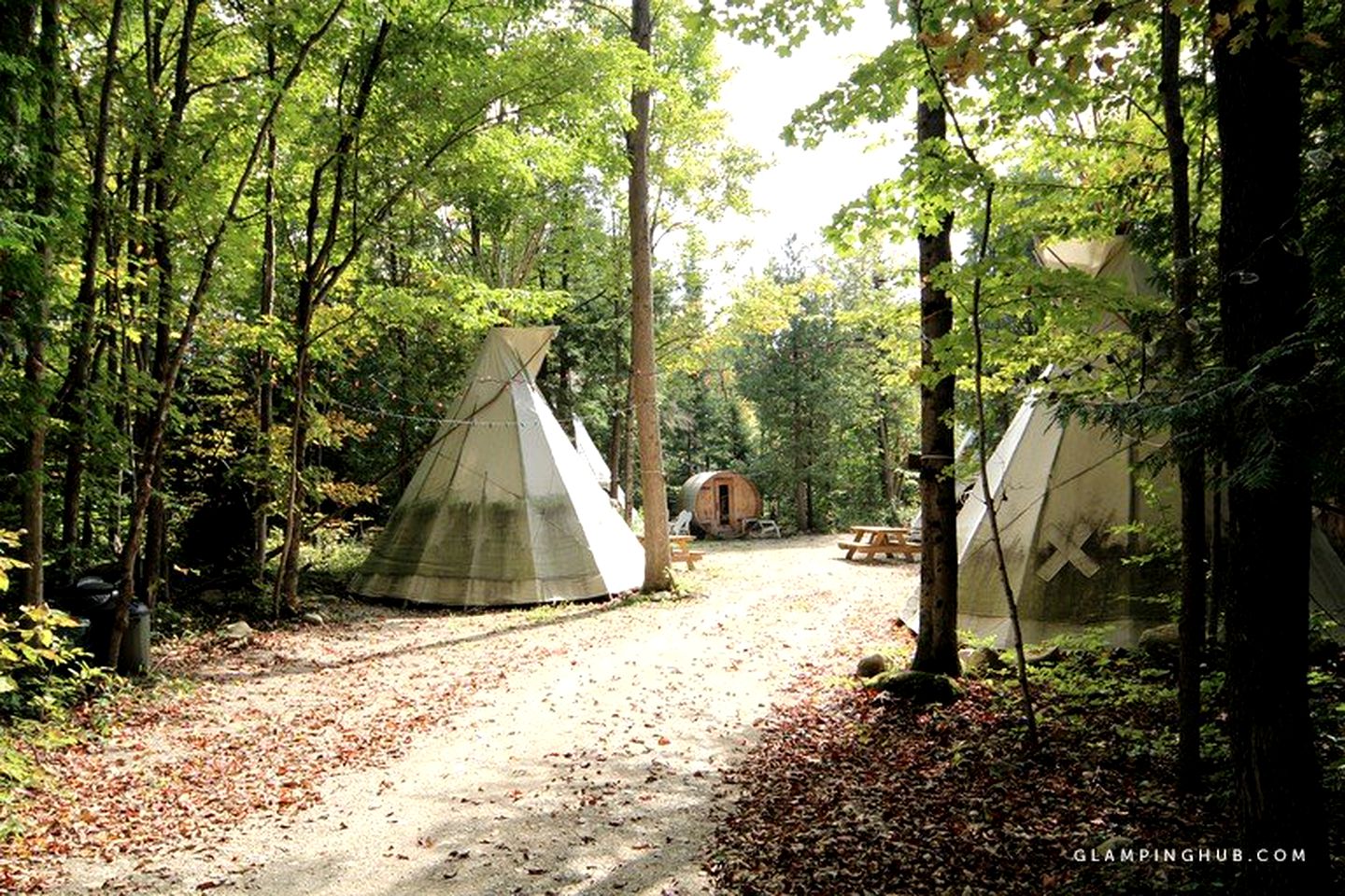 New Earth Estate Beautiful Chalet, Cabins, Markdale, Canada