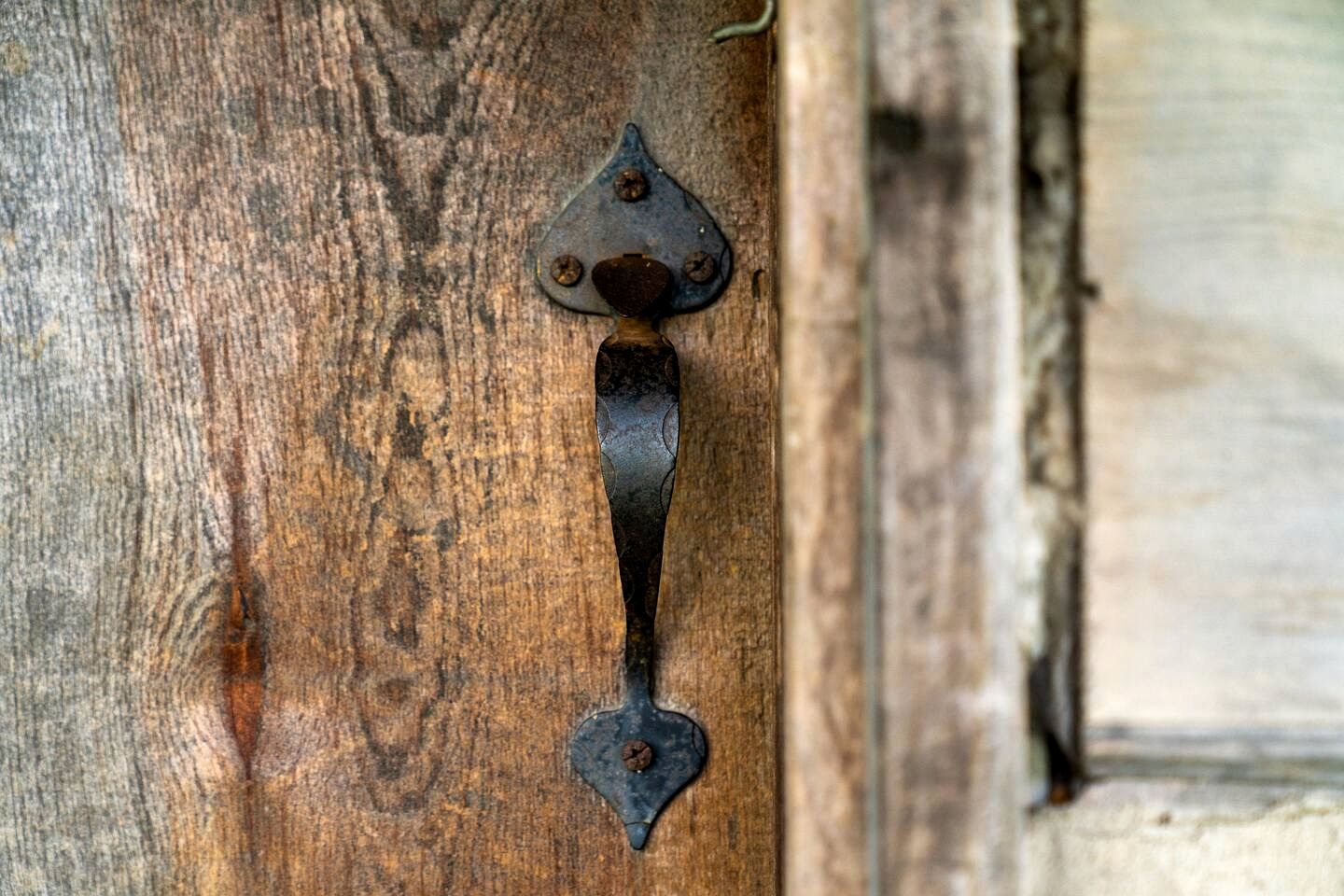 Enchanting Vacation Rental on Working Alpaca Farm near Kokomo, Indiana