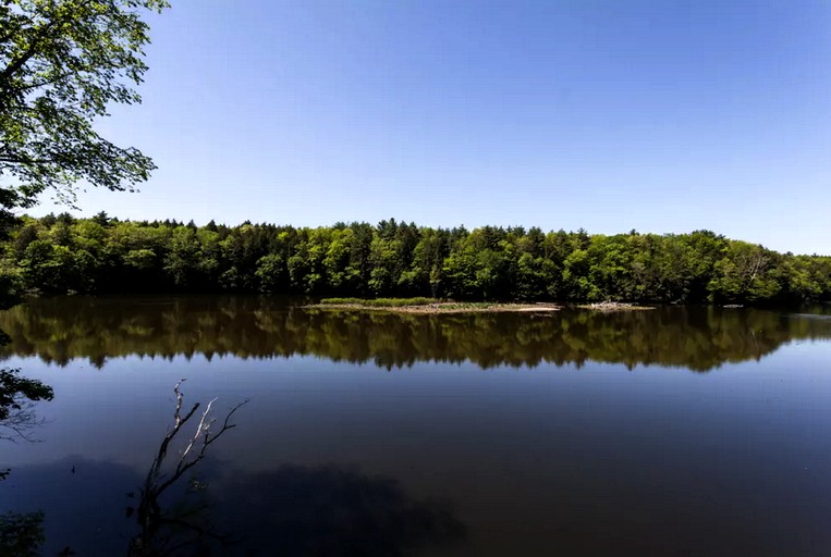 Cabins (Housatonic, Massachusetts, United States)