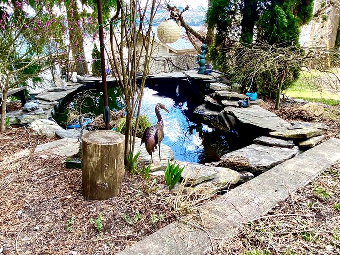 Cabins (Balmoral, British Columbia, Canada)