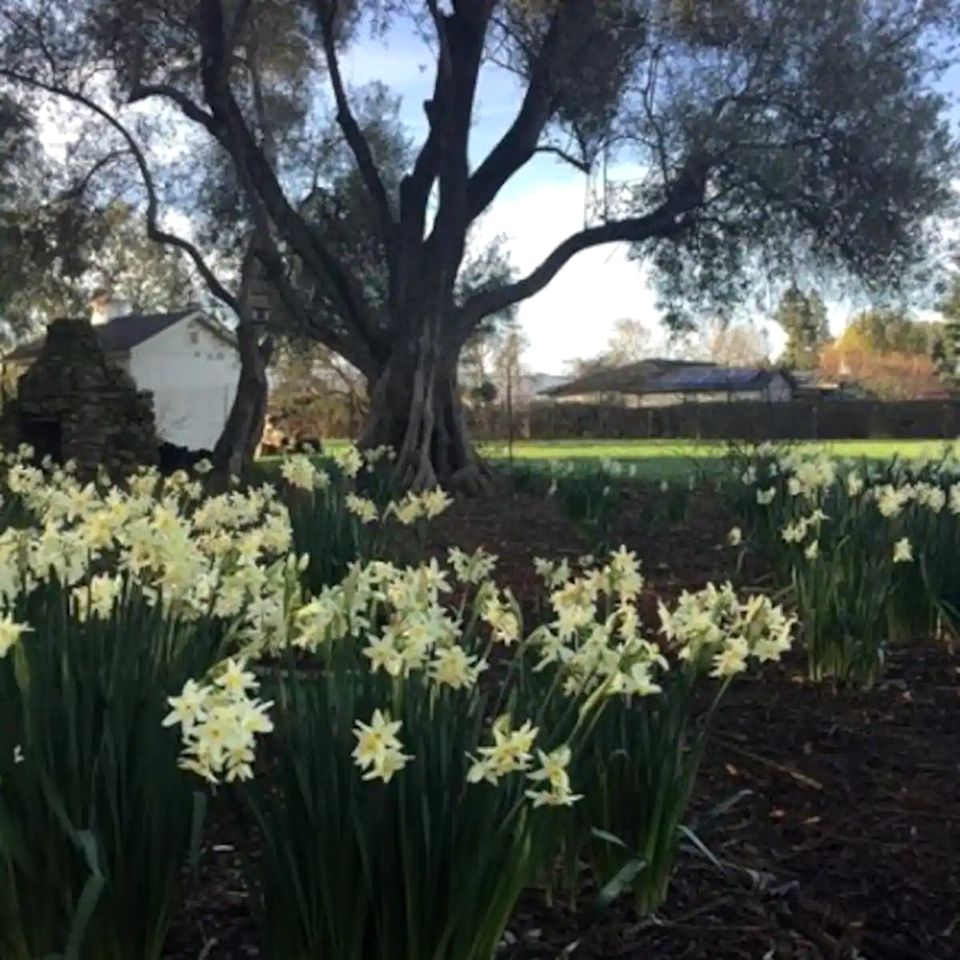 Idyllic Cottage Rental on a Working Farm Ideal for a Weekend Trip from San Francisco